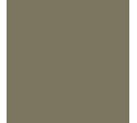 RAL 1035 